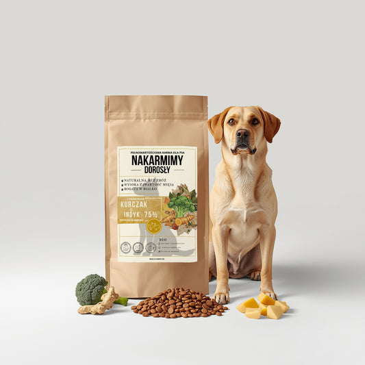 Karma sucha Pies Dorosły NAKARMIMY – Kurczak i Indyk 75% Brokuł i Imbir